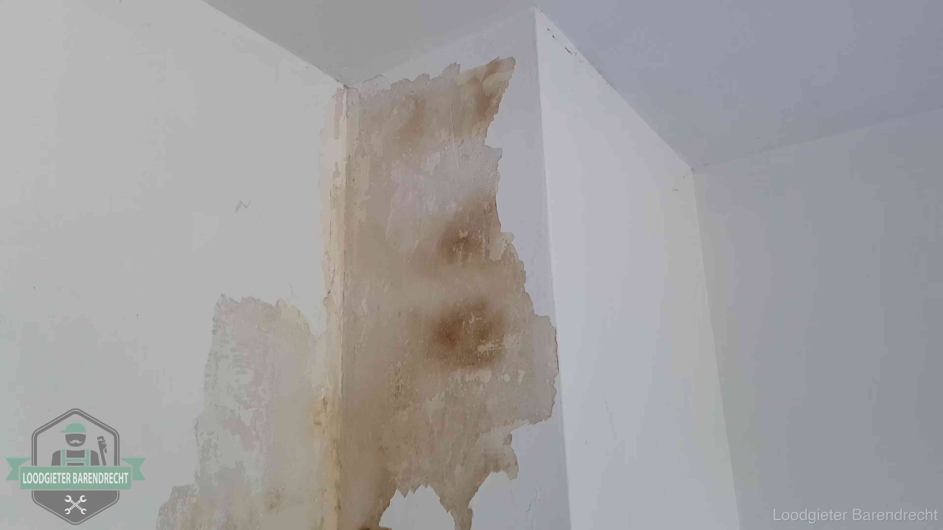 Daklekkage herkennen in Barendrecht Bruine vochtkringen en afbladderend stucwerk op een binnenmuur in Barendrecht, een eerste teken van daklekkage