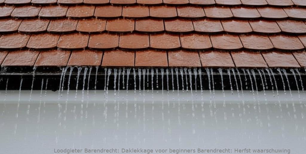Daklekkage Voor Beginners Barendrecht