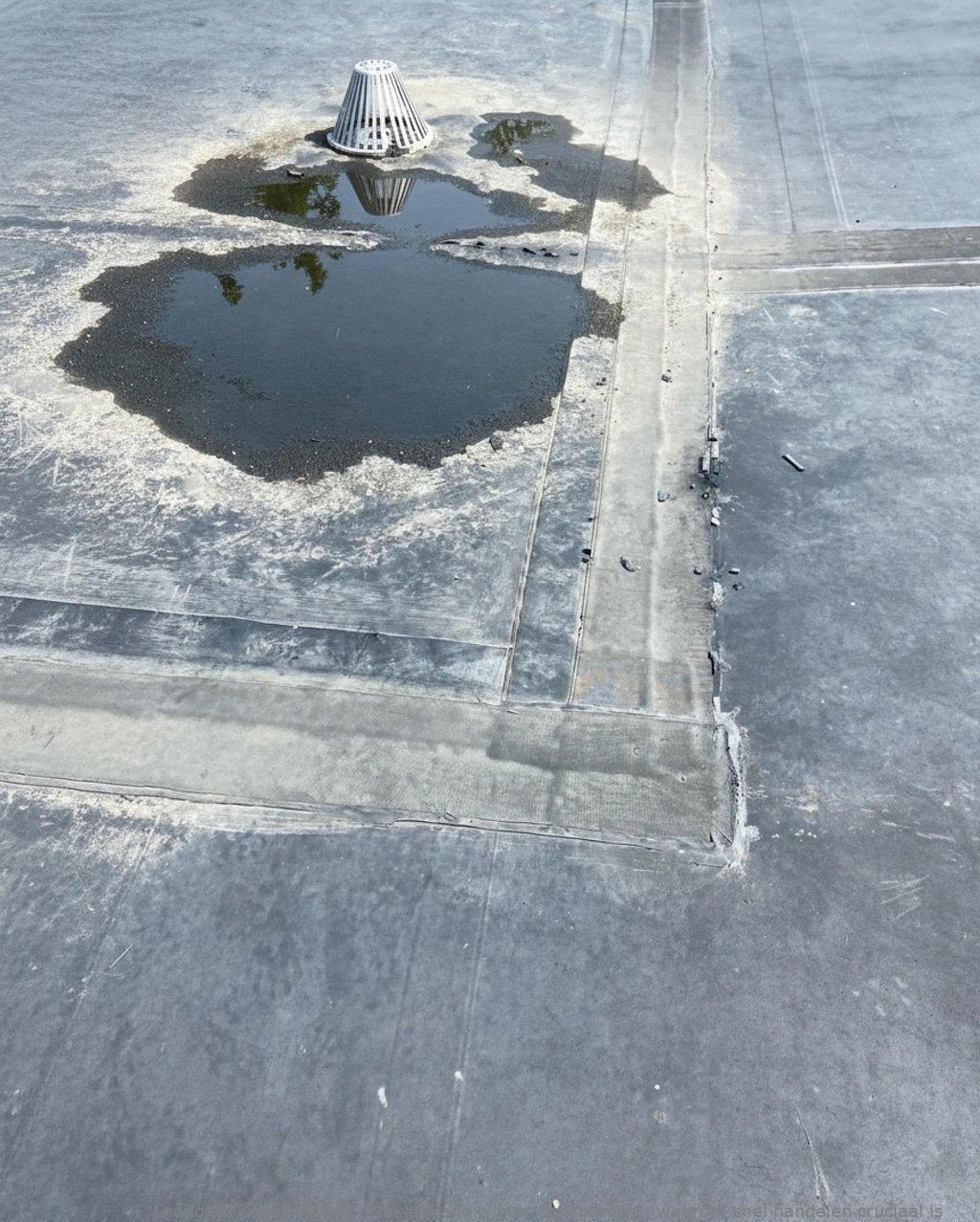 Daklekkage Winter Barendrecht