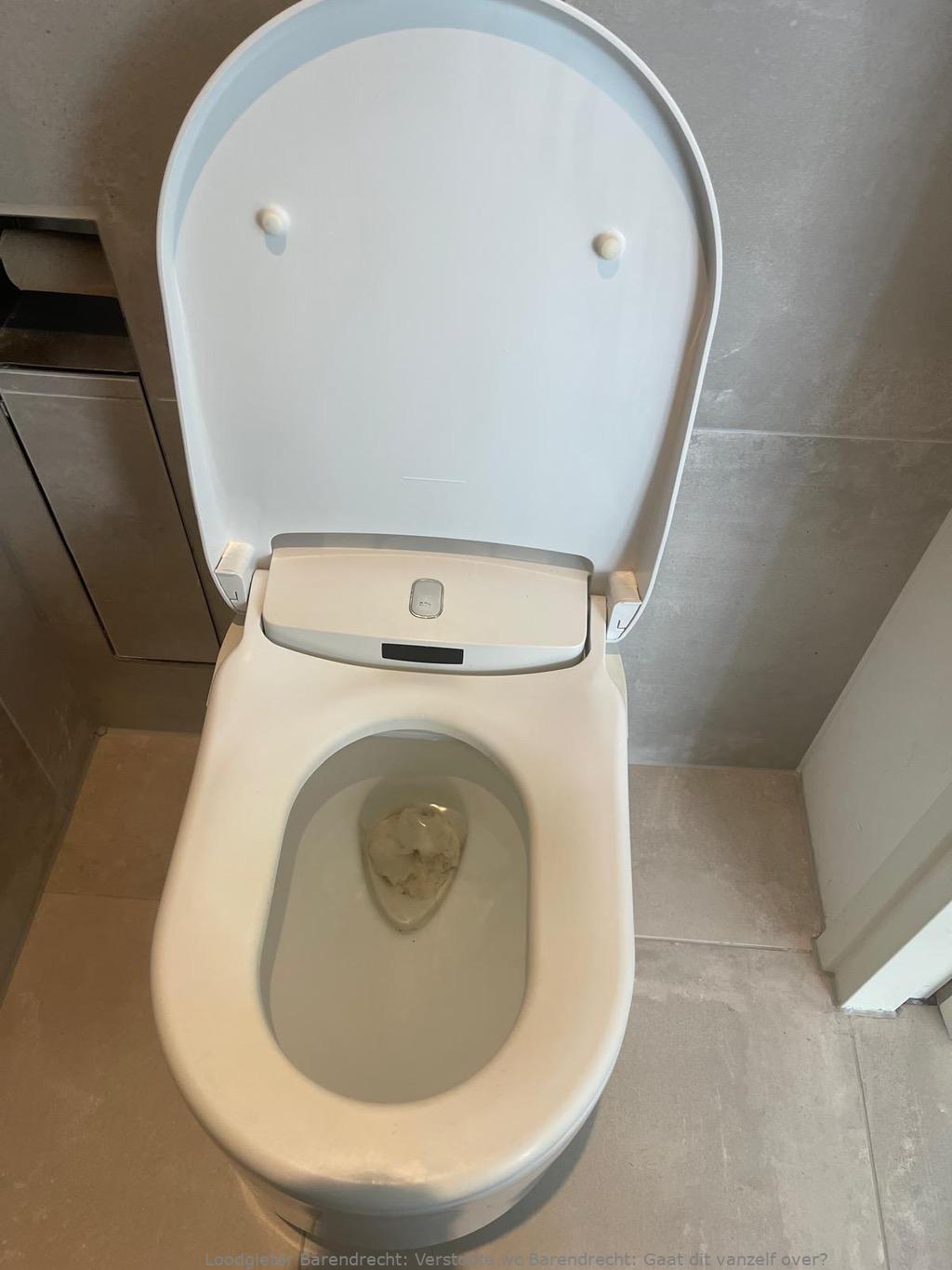 Herken Verstopte Wc Barendrecht