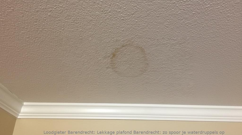 Lekkage Plafond Barendrecht