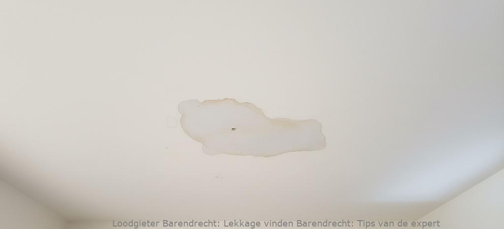 Lekkage Vinden Barendrecht