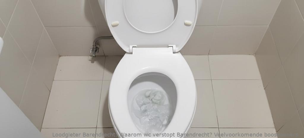 Waarom Wc Verstopt Barendrecht