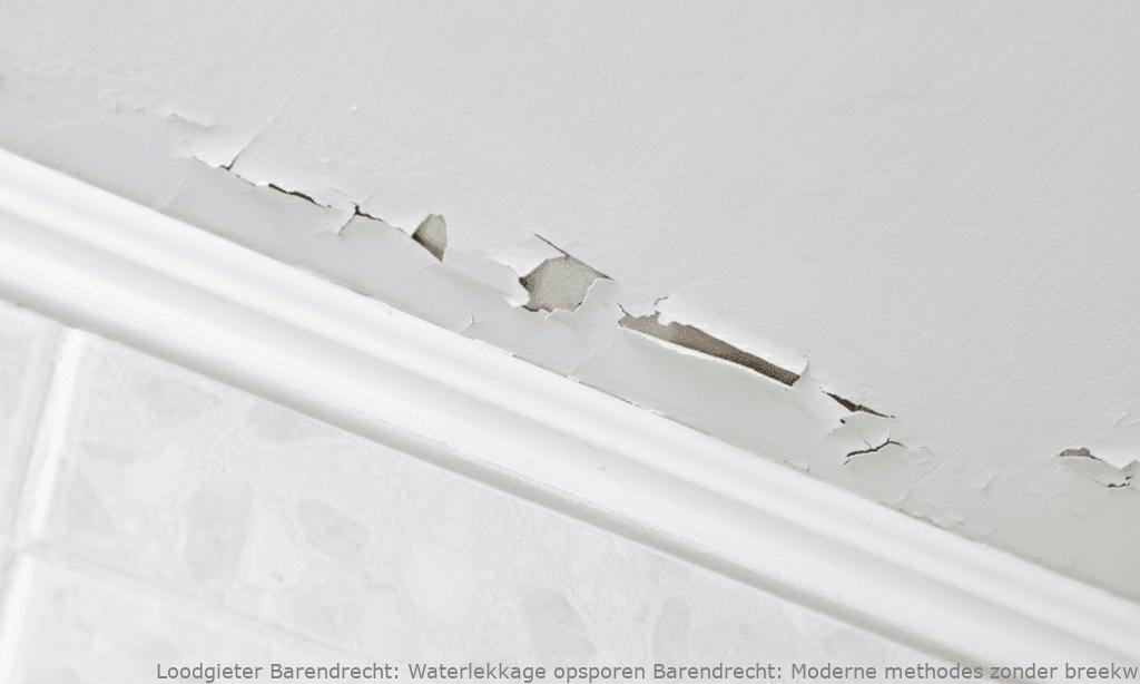 Waterlekkage Opsporen Barendrecht