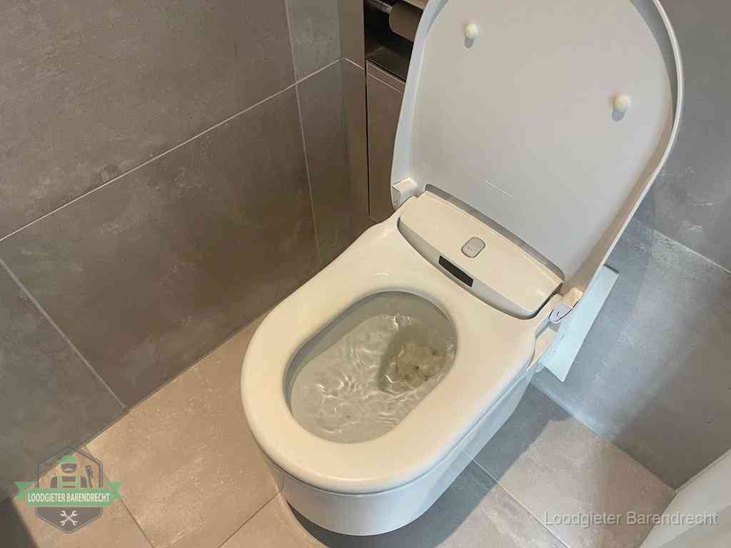 Wc Verstopt In, Loodgieter Barendrecht, Barendrecht
