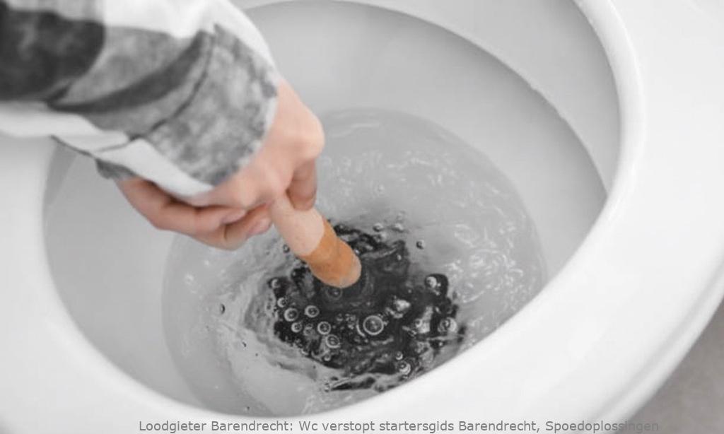 Wc Verstopt Startersgids Barendrecht